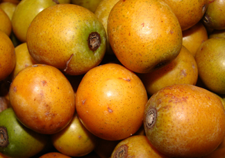 南酸棗什么時(shí)候成熟？南酸棗怎么種