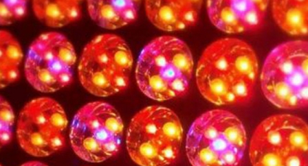 exideal小排燈原理 exideal小排燈副作用危害 exideal小排燈原理 exideal小排燈副作用危害