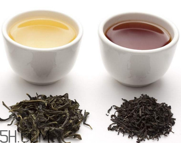 烏龍茶是什么茶？烏龍茶是紅茶還是綠茶