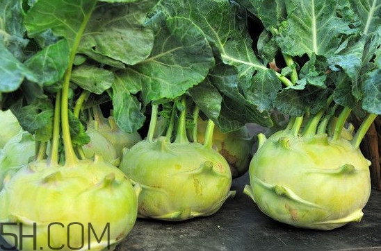 大頭菜營(yíng)養(yǎng)價(jià)值有哪些？大頭菜什么時(shí)候種植