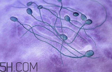 弱精癥是天生的嗎？弱精癥是先天后天的？