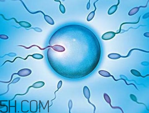 無精癥吃什么可以生精？無精癥吃生精片管用嗎？