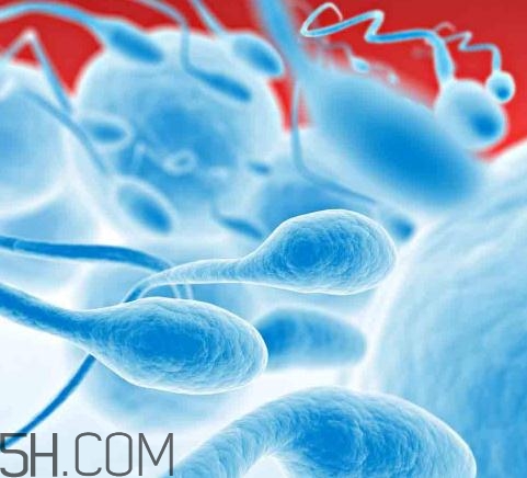 無精癥能射精嗎？無精癥能勃起嗎？