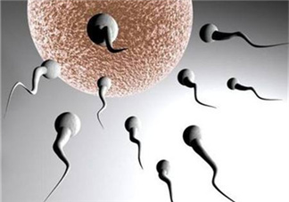 無精癥能射精嗎？無精癥能勃起嗎？