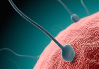 無精癥吃什么可以生精？無精癥吃生精片管用嗎？