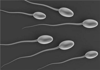 弱精癥可以治愈嗎？弱精癥吃什么藥好得快？