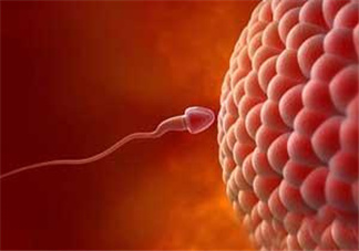 無精癥射出來什么癥狀？無精癥射出來什么顏色？