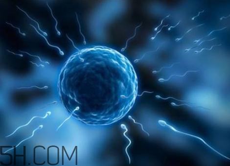 無(wú)精癥是先天的嗎？無(wú)精癥會(huì)遺傳嗎？