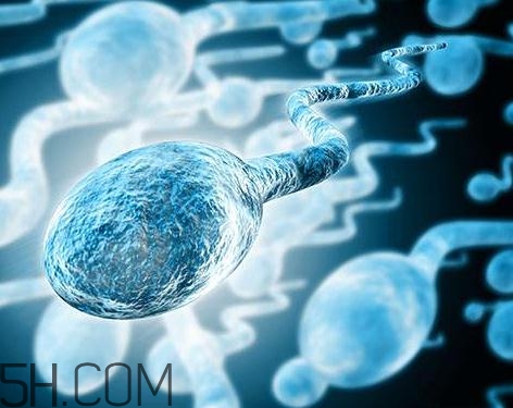 先天性無精癥怎么辦？先天性無精癥能治好嗎？