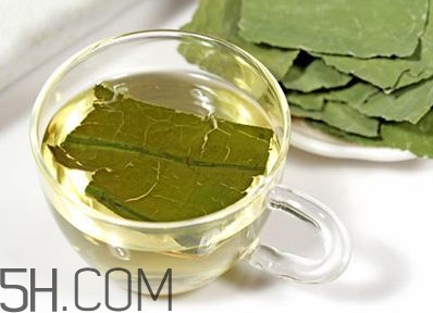 荷葉茶大概哪里有賣？荷葉茶副作用有哪些