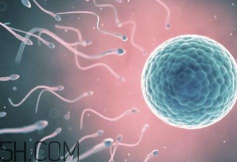 少精癥是怎么引起的？少精癥是不是不能自愈？