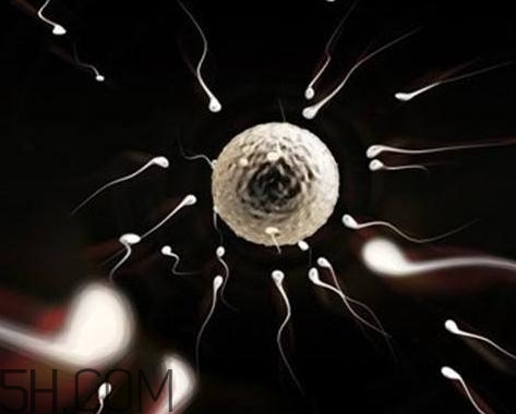 少精癥能自然懷孕嗎？少精癥多久能治好？