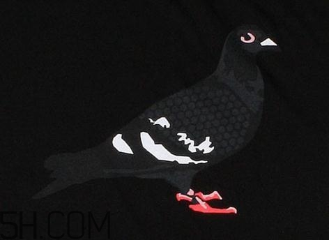 nike sb dunk low pigeon黑鴿子怎么買_抽簽方式 nike sb dunk low pigeon黑鴿子怎么買_抽簽方式