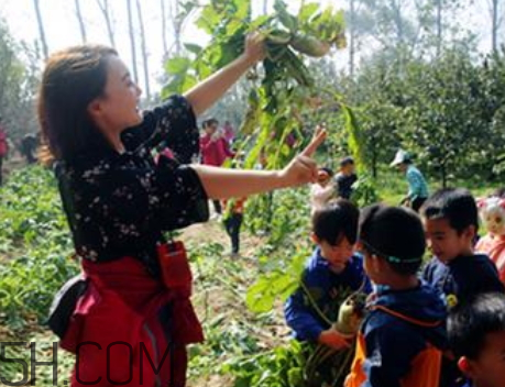 秋后拔蘿卜再硬也要碰是什么意思？