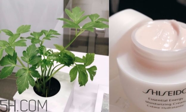 資生堂激能量水乳霜怎么樣？資生堂激能量水乳霜多少錢