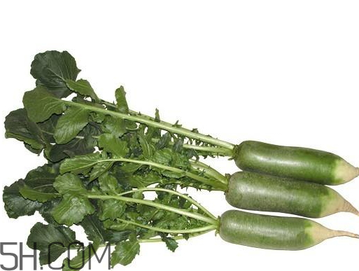 青蘿卜什么時候收獲 青蘿卜什么時候上市 青蘿卜什么時候收獲 青蘿卜什么時候上市