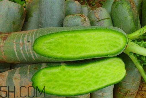 青蘿卜什么時候收獲 青蘿卜什么時候上市 青蘿卜什么時候收獲 青蘿卜什么時候上市