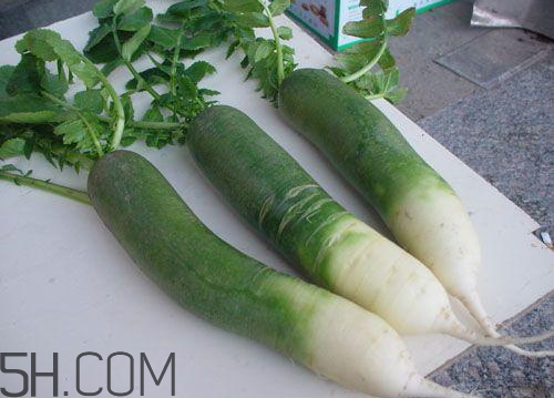 青蘿卜什么時候收獲 青蘿卜什么時候上市 青蘿卜什么時候收獲 青蘿卜什么時候上市