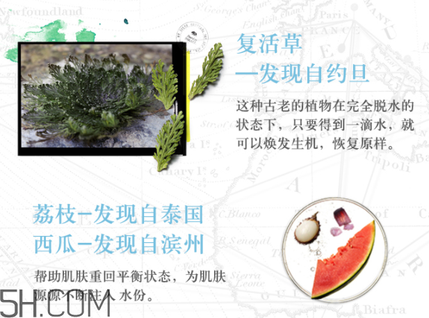 悅木之源復(fù)活草水潤修護凝乳 悅木之源復(fù)活草水潤修護凝乳