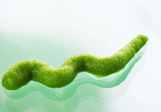 芥末有毒嗎？芥末有害嗎