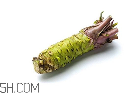 芥末為什么會沖鼻？芥末長什么樣子