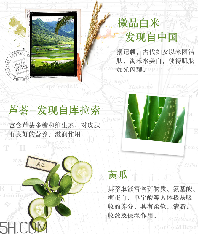 悅木之源白米萃柔嫩煥膚霜 悅木之源白米萃柔嫩煥膚霜