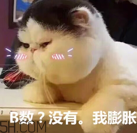 b數(shù)沒有我膨脹什么意思？b數(shù)沒有我膨脹表情包