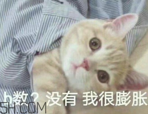 b數(shù)沒有我膨脹什么意思？b數(shù)沒有我膨脹表情包