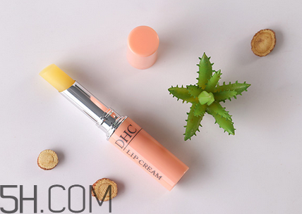 潤(rùn)唇膏排行榜前十名 平價(jià)好用的潤(rùn)唇膏推薦 潤(rùn)唇膏排行榜前十名 平價(jià)好用的潤(rùn)唇膏推薦