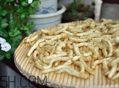 姜芽能吃嗎？姜芽怎么吃