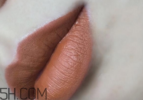 泰國nani唇釉哪個顏色好看_nani唇釉哪個色號最火 泰國nani唇釉哪個顏色好看_nani唇釉哪個色號最火