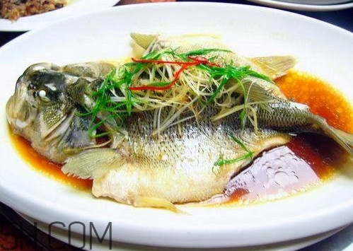 松江鱸魚怎么做？松江鱸魚養(yǎng)殖技術(shù)