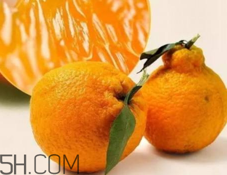 丑八怪是涼性的嗎 丑八怪是溫性水果嗎 丑八怪是涼性的嗎 丑八怪是溫性水果嗎