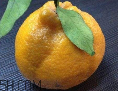 丑八怪是涼性的嗎 丑八怪是溫性水果嗎 丑八怪是涼性的嗎 丑八怪是溫性水果嗎