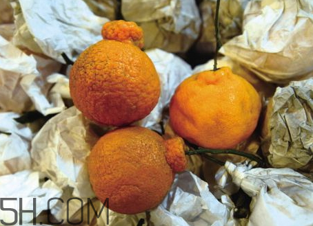 丑八怪是涼性的嗎 丑八怪是溫性水果嗎 丑八怪是涼性的嗎 丑八怪是溫性水果嗎