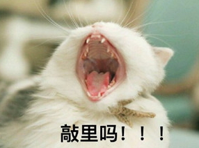 敲里lailai是什么意思？敲里lailai表情包無水印