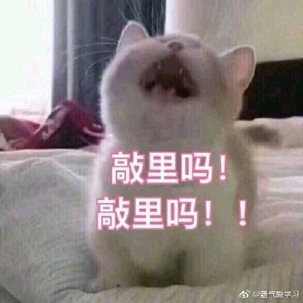 敲里lailai是什么意思？敲里lailai表情包無水印