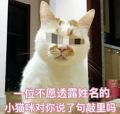 敲里lailai是什么意思？敲里lailai表情包無水印