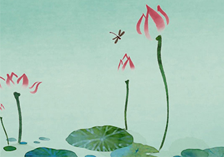 佰草世家效果真的假的？佰草世家怎么樣？