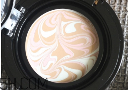 小怪獸氣墊ee霜適合油皮嗎？氣墊粉底使用須知