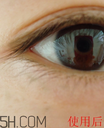 透真眼霜適合什么年齡段？透真眼霜多少錢