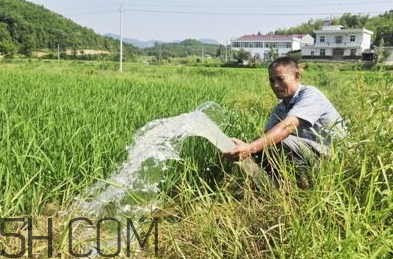 女生說抽水什么意思？女生發(fā)消息想抽水什么意思？