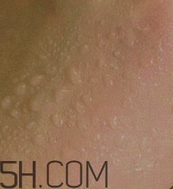 玫珂菲彩妝師摯愛(ài)粉餅怎么樣_產(chǎn)品評(píng)測(cè)