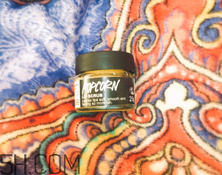 lush唇部磨砂膏好用嗎？lush唇部磨砂膏多少錢？