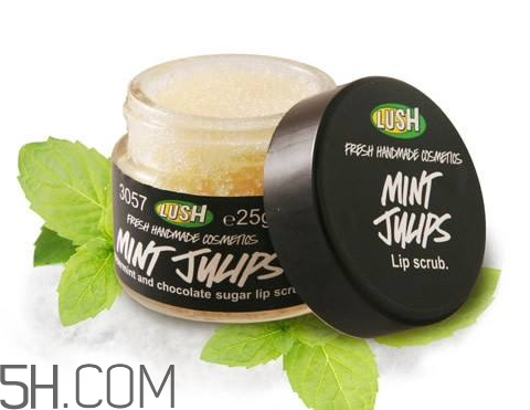 lush唇部磨砂膏好用嗎？lush唇部磨砂膏多少錢？