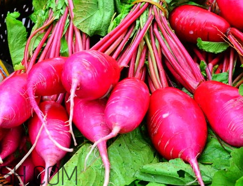 紅蘿卜不能和什么一起吃 紅蘿卜和什么相克 紅蘿卜不能和什么一起吃 紅蘿卜和什么相克