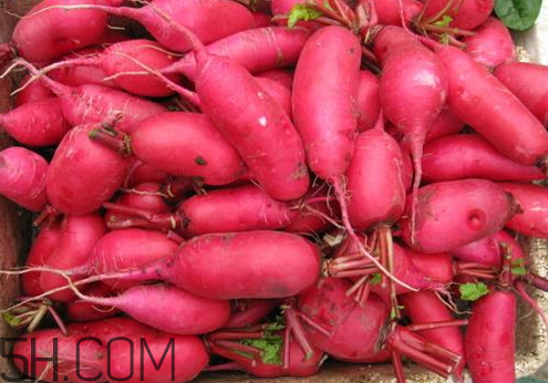 紅蘿卜不能和什么一起吃 紅蘿卜和什么相克 紅蘿卜不能和什么一起吃 紅蘿卜和什么相克