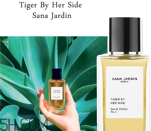 什么香水值得買 香水價(jià)格排名 什么香水值得買 香水價(jià)格排名