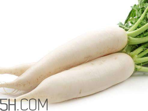 白蘿卜什么時(shí)候收獲 白蘿卜什么季節(jié)成熟 白蘿卜什么時(shí)候收獲 白蘿卜什么季節(jié)成熟