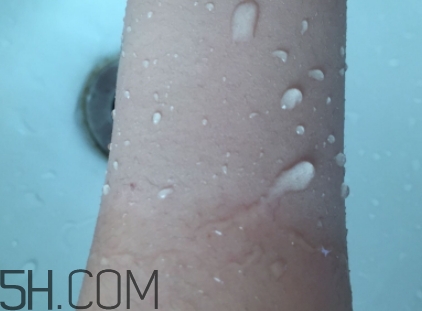 巧迪尚惠什么檔次？巧迪尚惠是高端品牌嗎？